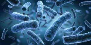 Legionella: un rischio per la salute